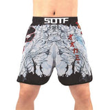 The new training Muay Thai fighting fitness Combat sports pants Tiger Muay Thai boxing clothing shorts mma pretorian boxeo